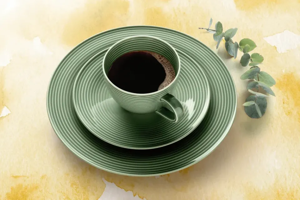 Seltmann Weiden Beat service set 30 pieces, Green Clearance