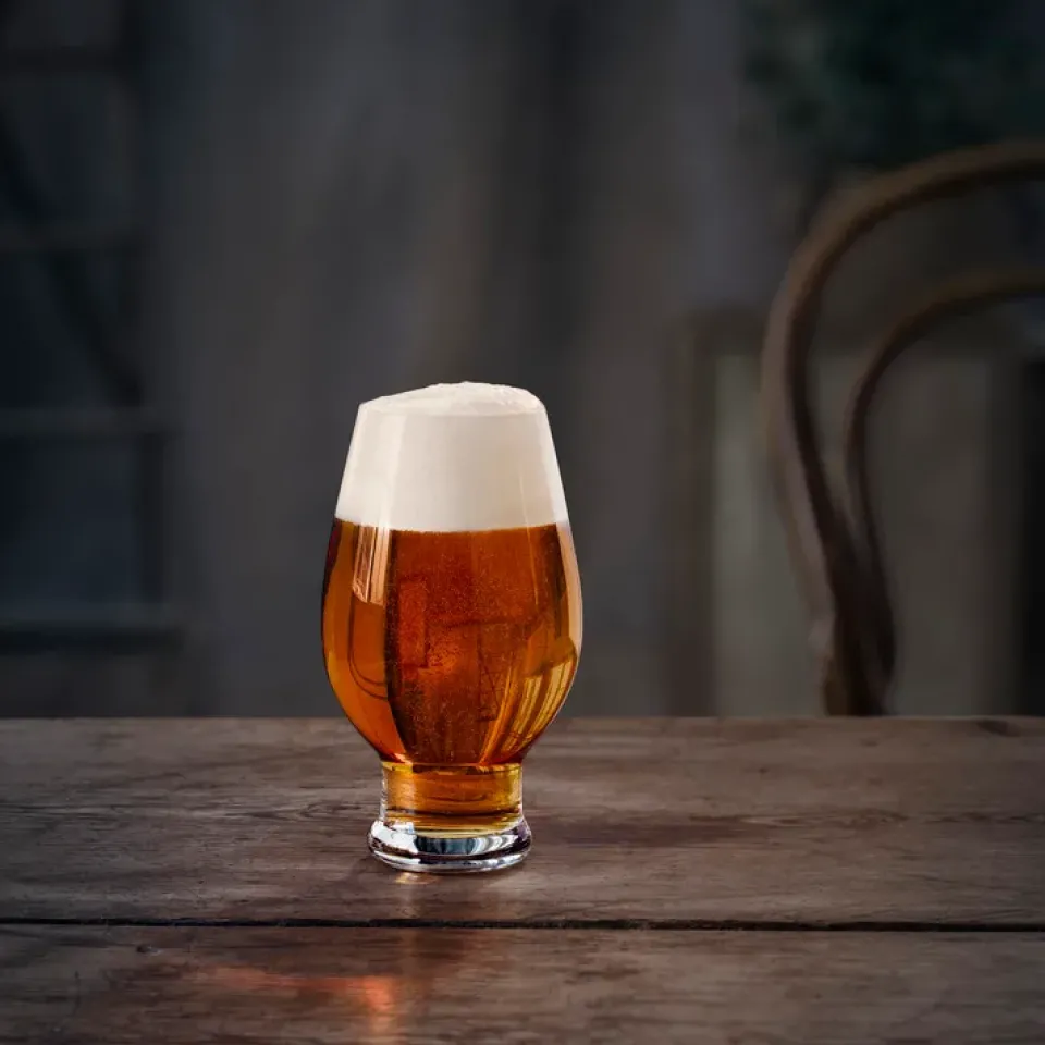 Orrefors Beer IPA beer glass 4-pack, 47 cl Transparent Discount