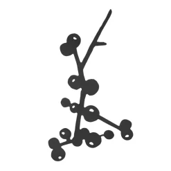 Pluto Design Berry trivet, Black New