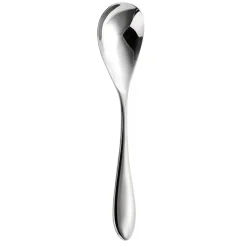 Robert Welch Bourton Bright dessert spoon, Stainless steel Silver-coloured Hot