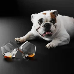 Normann Copenhagen Cognac glass 25 cl, set of 2 Transparent Best