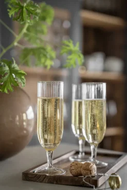 ERNST champagne glass ribbed 2-pack, Clear Transparent Hot