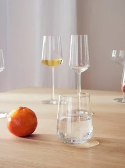 Iittala Essence champagne glass 2-pack, clear 2-pack Transparent
