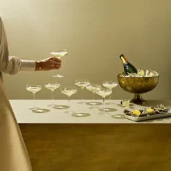 Eva Solo Coupe champagne glasss, 20 cl Transparent New