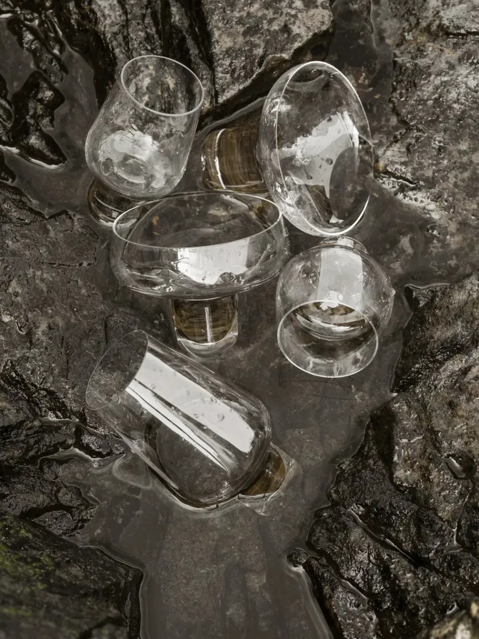 Blomus Koyoi liqueur glass 13 cl, Clear Transparent
