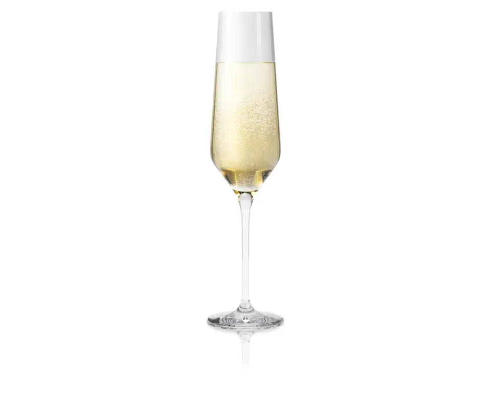 Eva Solo Legio Nova champagne glass 26 cl, 6-pack Transparent Best