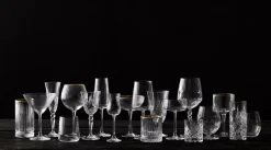 Lyngby Glas Melodia champagne glass 16 cl 4-pack, Crystal Transparent Online