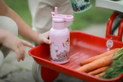 Rätt Start Moomin Meadow water bottle 34 cl, Pink Sale