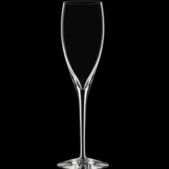 Orrefors More champagne glass 4-pack, 4-pack Transparent Outlet