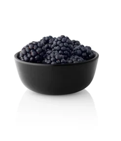 Eva Solo Nordic Kitchen bowl, 0.5 L Black Hot