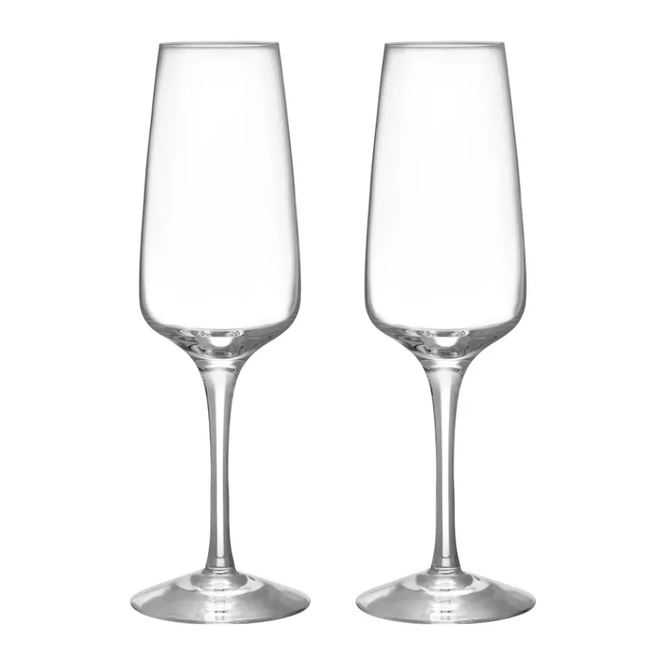 Orrefors Pulse champagne glass 28 cl 2-pack, Clear Transparent Clearance