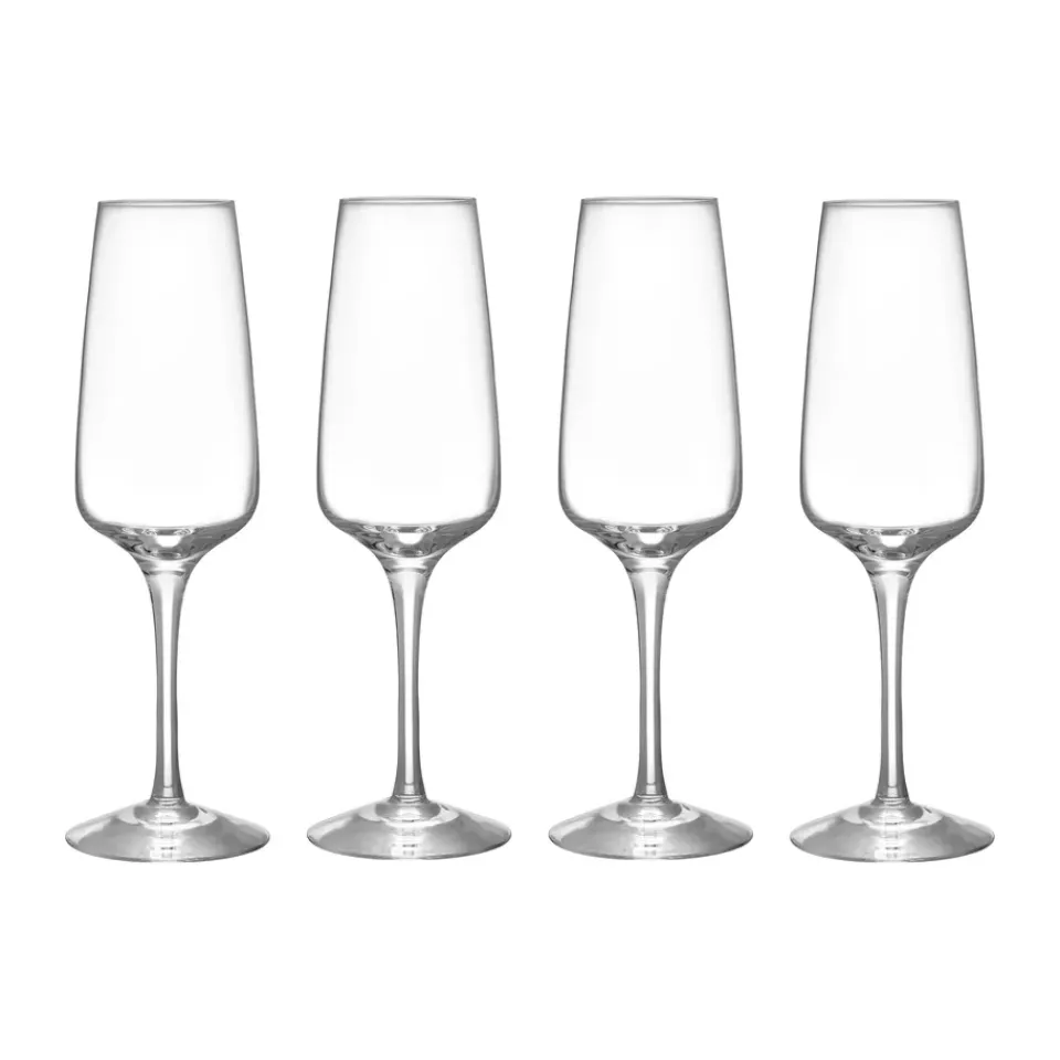 Orrefors Pulse champagne glass 28 cl 4-pack, Clear Transparent Online