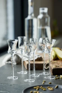 Lyngby Glas Rom snaps glass 2.5-5 cl 6 pieces, Clear Transparent New