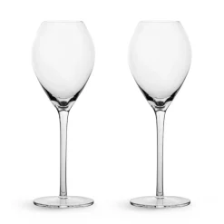 Sagaform Saga champagne glass 2-pack, Clear Transparent