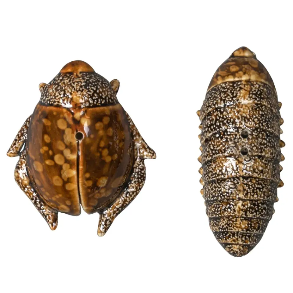 Byon Salt- & pepper shaker beetles, Brown Outlet