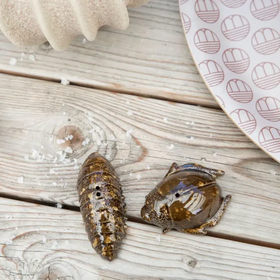 Byon Salt- & pepper shaker beetles, Brown Outlet