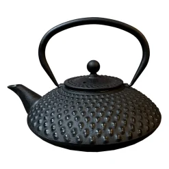 Satake teapot oval 1.2 l, Black Hot