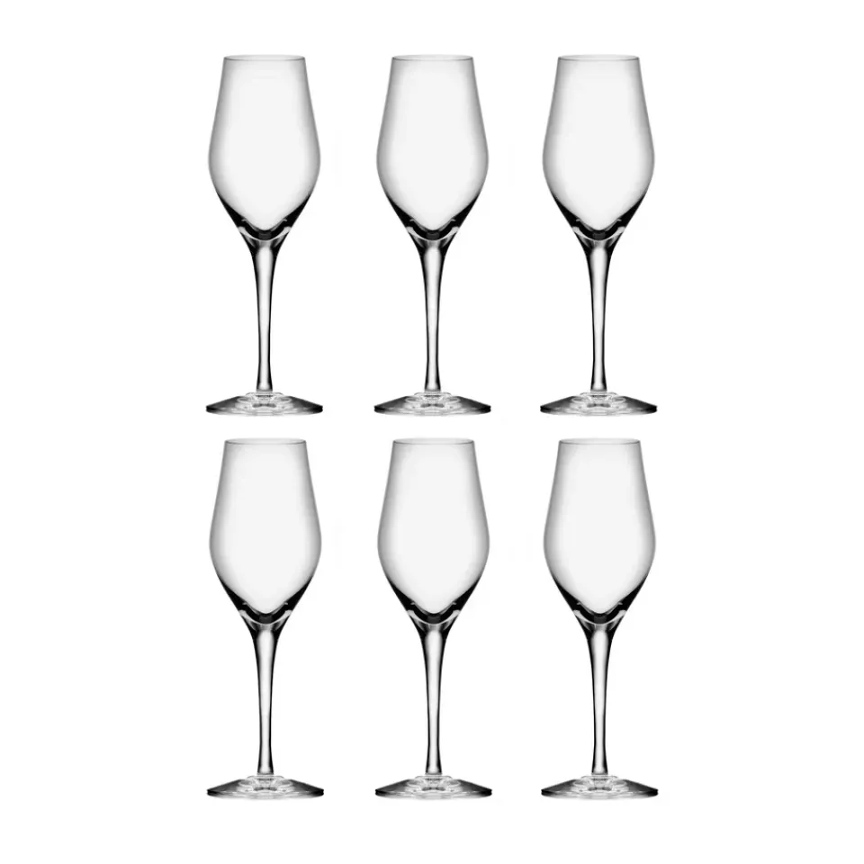 Orrefors Sense champagne glass 25.5 cl 6-pack, Clear Transparent