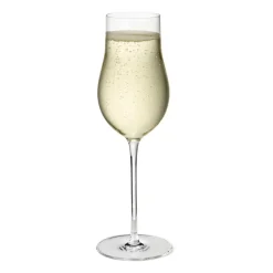 Georg Jensen Sky champagne glass 25 cl 6-pack, Clear Transparent Clearance