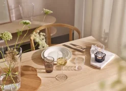 Iittala Teema small plate Ø17 cm, White Hot