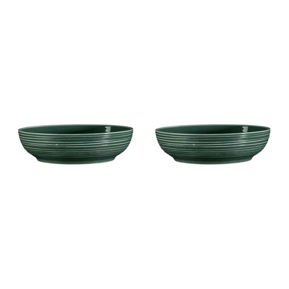 Seltmann Weiden Terra bowl Ø25.5 cm 2-pack, Moss Green Discount
