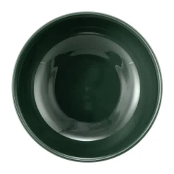 Seltmann Weiden Terra bowl Ø15 cm 4-pack, Moss Green Sale