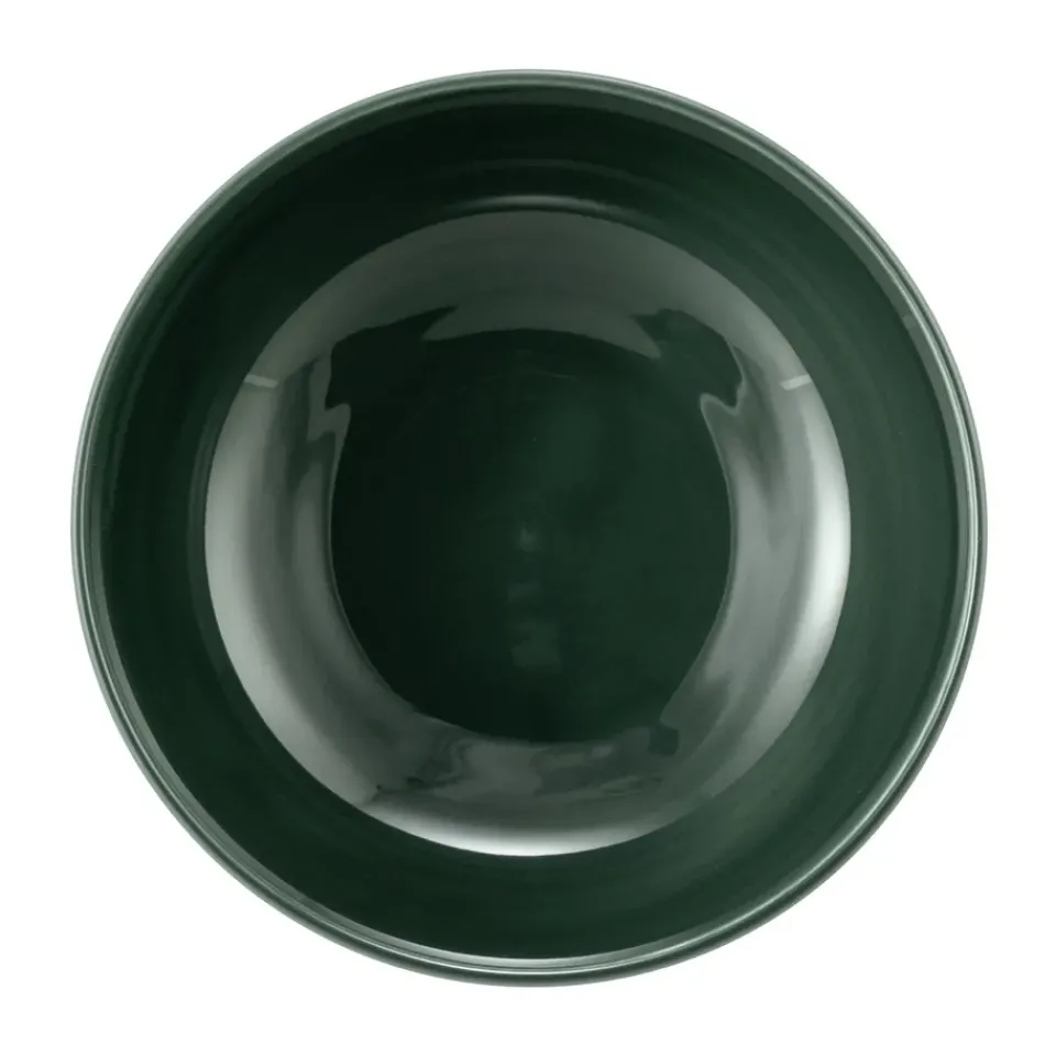 Seltmann Weiden Terra bowl Ø15 cm 4-pack, Moss Green Sale